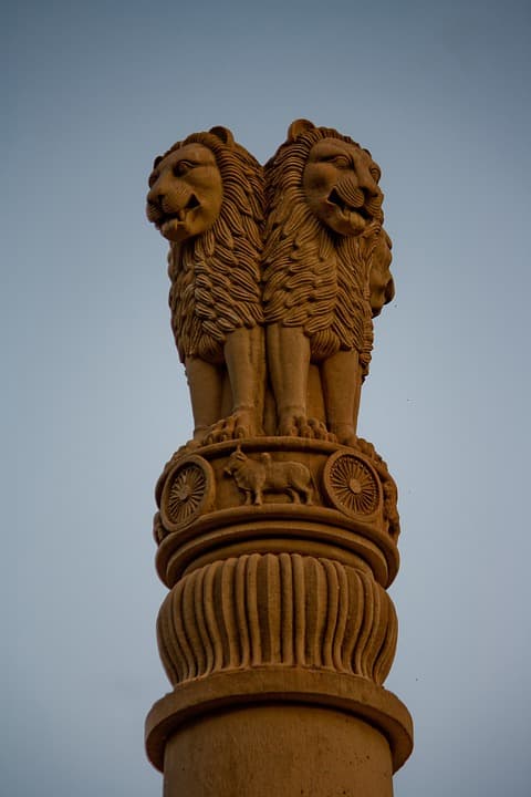 lion capital